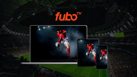 Watch Every games of Euro 2024 on fubotv